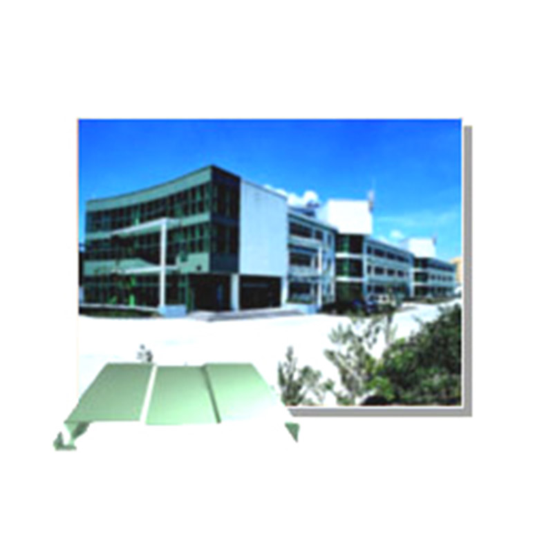 金飛虹鋼結構暗扣墻NS-KW